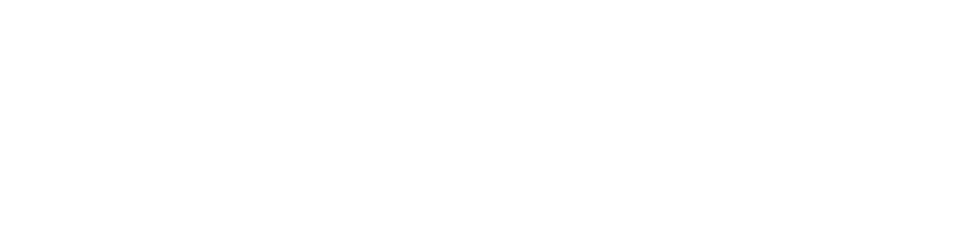 Roar AI Logo
